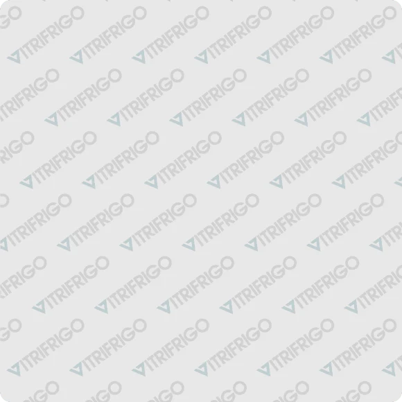 Vitrifrigo Äußerer Abgaskamin – Ansicht 2